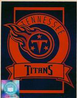 Titans Stadium Blanket